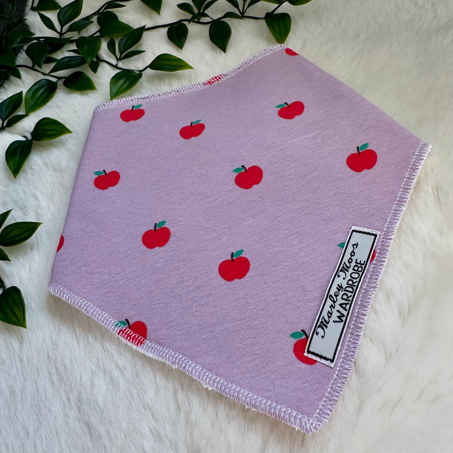 The Apples Baby Bib