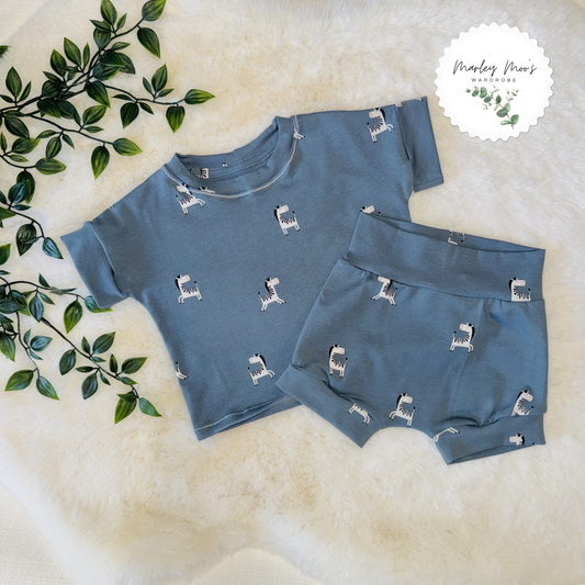 Blue Zebra Shorts And T-Shirt Set